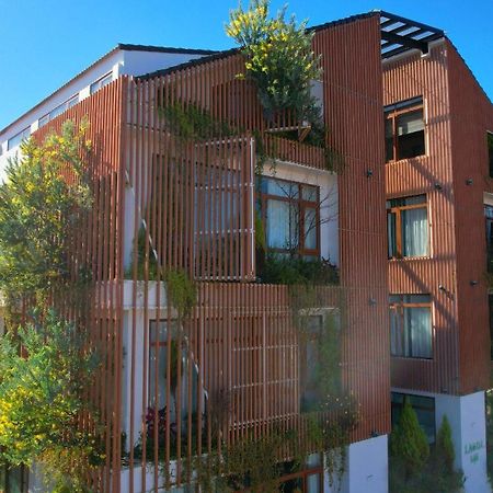Lasol Boutique Hotel Đà Lạt Ngoại thất bức ảnh